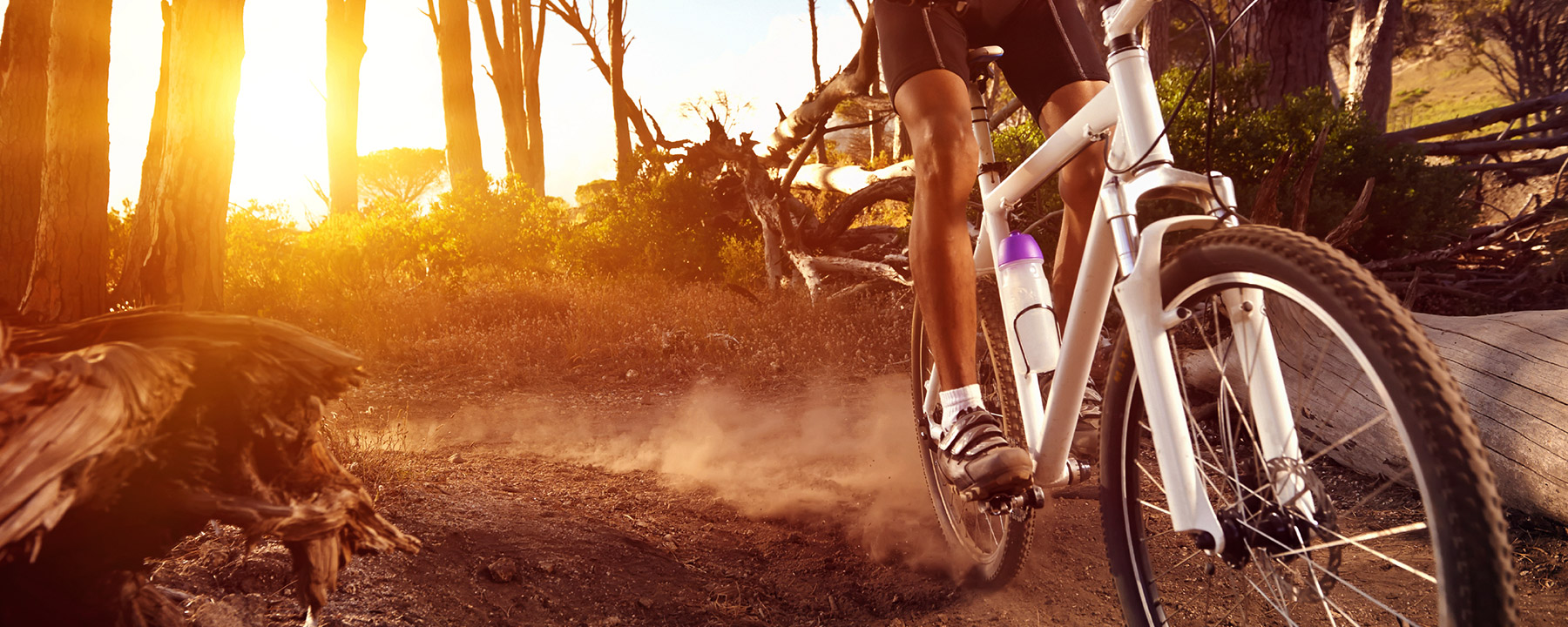 Mountain Biking In New Zealand